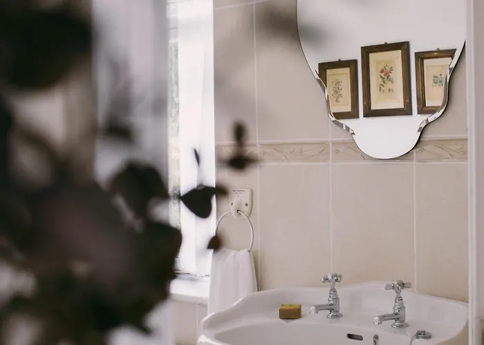 Mossie's Couette-café